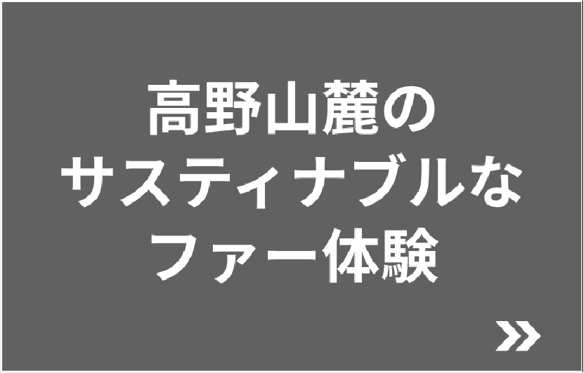 高野山麓のサスティナブルな体験