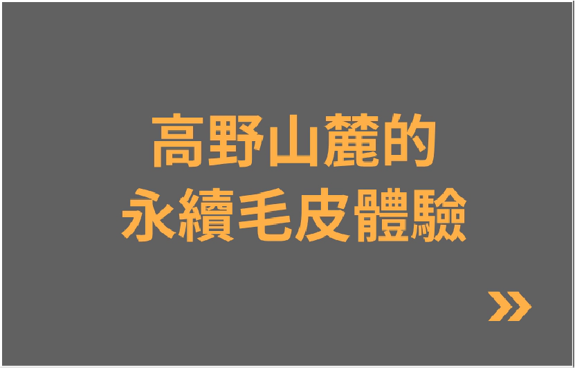 高野山麓的永續毛皮體驗